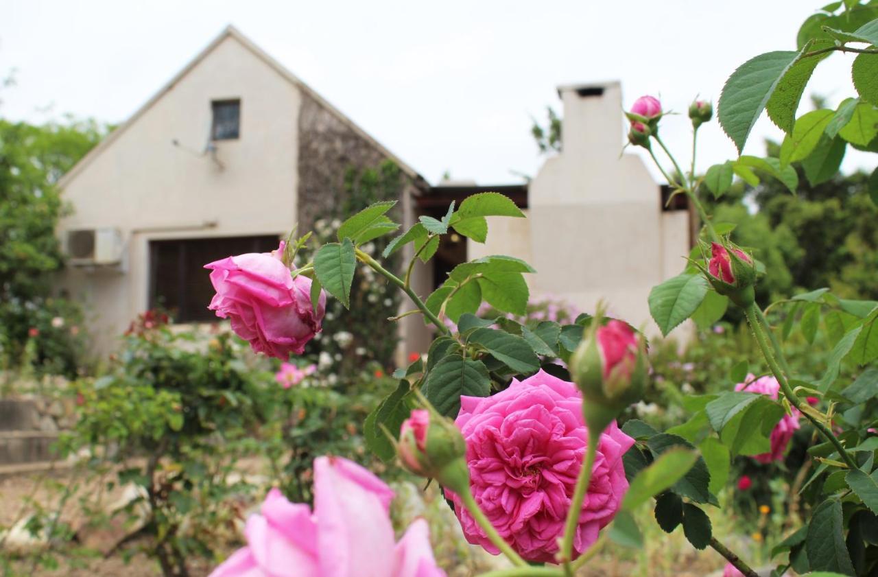 Wildebraam Berry Estate Villa Swellendam Exterior photo