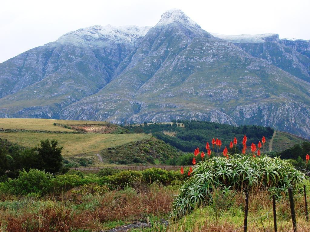 Wildebraam Berry Estate Villa Swellendam Exterior photo